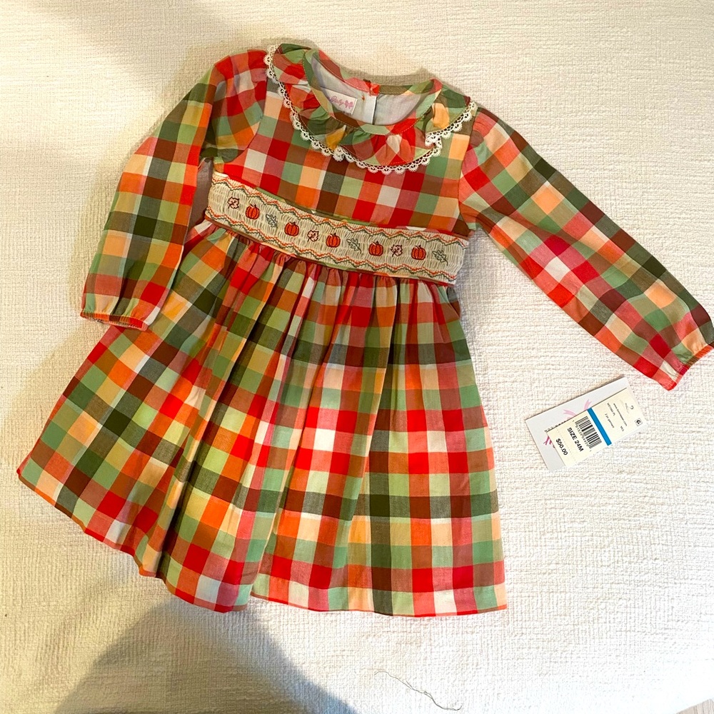 Bonnie Baby 24 month Fall plaid dress with white bloomers